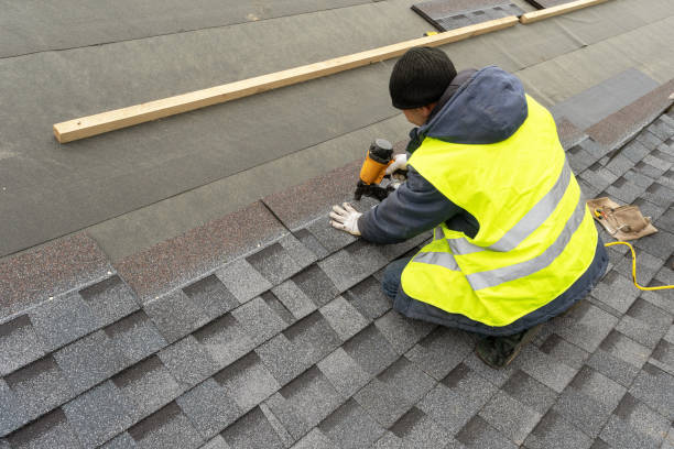Best Roof Gutter Cleaning  in Shawneetown, IL