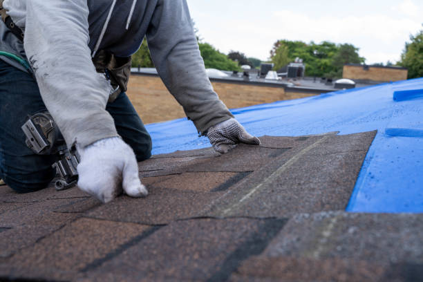 Best Shingle Roofing Installation  in Shawneetown, IL