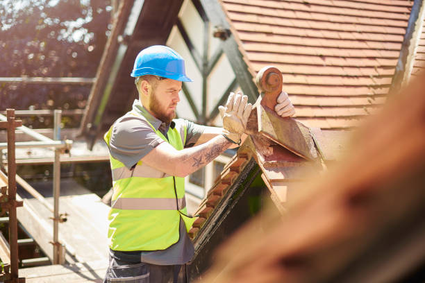 Best Roof Restoration Services  in Shawneetown, IL