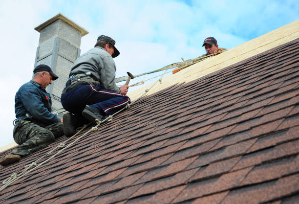Best Gutter Installation and Roofing  in Shawneetown, IL